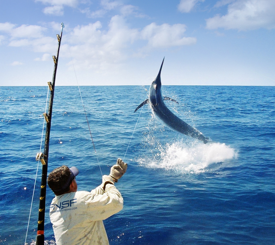 10 Basic Rules to Live By When Sport Fishing