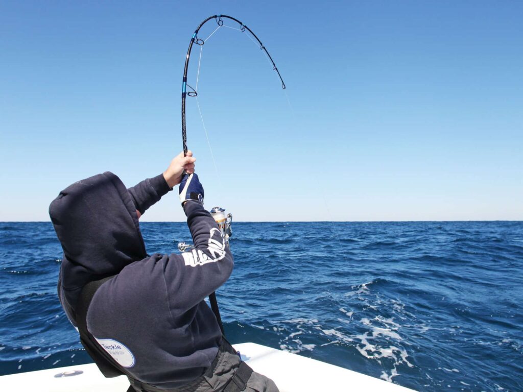 Useful Advice from Professional Anglers on Choosing Tackle for Sport Fishing