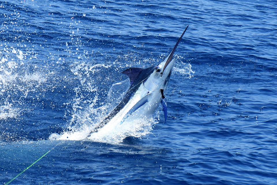 Where is the best sport fishing in Costa Rica?