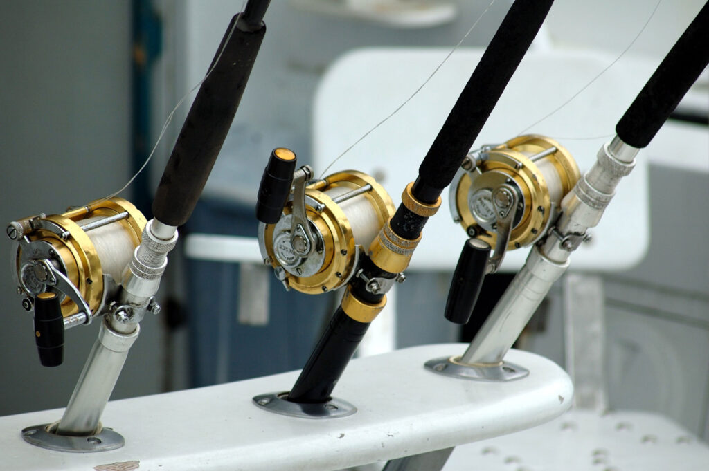 How to Choose the Best Fishing Reel for Sports Fishing